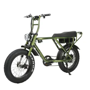 20英寸双驱动电动自行车胖轮胎电动锂电池电动自行车车轮驱动电动山地车