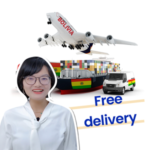 Spedizione internazionale veloce di merci marittime globali Bolivia affidabile origine oceanica LCL + spedizione espressa Container vendita Air + Express - Product Image 2