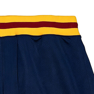 Shorts de basketball pour hommes bleu marine avec bande latérale jaune et rouge, taille élastique, logo sur la jambe droite, décontracté, grande taille, en maille tissée - Product Image 3