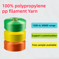 Wholesale Customization 1000D Polypropylene Filament Yarn Waterproof & High Tenacity Is Suitable for Watch Straps FDY pp Yarn