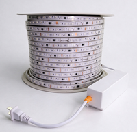 Bande LED haute tension fabriquée en Chine, haute luminosité, 110V 220V, prise EU, 6000K, 60 LED/m, lumière du jour intérieure, SMD 5050