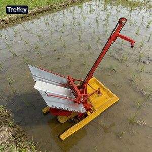 Machine à repiquer le riz manuelle, poussée à la main, double rangée, pour l'agriculture familiale - Product Image 1