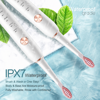 Brosse à dents électrique sonique populaire, rechargeable, intelligente, 31000 VPM, étanche IPX7, chargement USB, blanchiment, soins dentaires