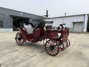 Voiture de mariage sans chevaux électrique personnalisable, style anglais, chariot de tourisme, transport spécial en forme de citrouille - Product Image 3