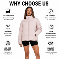 Blouson court matelassé ample pour femme, col montant, chaud pour l'hiver, manteau rembourré, vêtement d'extérieur personnalisé ODM pour femme avec poche sur le bras