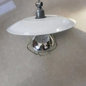 Ensemble de lampes d'isolation thermique infrarouge lointain <span class=keywords><strong>pour</strong></span> usage domestique, nouveau plastique 220v <span class=keywords><strong>pour</strong></span> les porcs et les poussins d'élevage, abat-jour chauffant 250 W - Product Image 2
