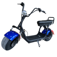 Hollande entrepôt 3 jours d'expédition CEE route juridique prix bon marché 1500W 20ah citycoco