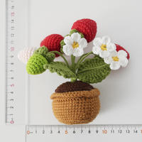 Handgemaakte Positieve Gehaakte Bloem Gehaakte Aardbei Fruit Ingemaakte Bloem Gebreide Vlinder Huisdecoratie Valentijnsdag Cadeau