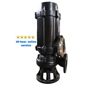 Sewage <b>Suction</b> <b>Pump</b> 55kw Vertical Stainless Steel Cast Iron Submissible Sewage <b>Pump</b> 2hp 1.5 Hp for Wastewater Treatment - Product Image 1