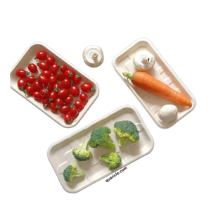 Plateau de bagasse de canne à sucre rectangulaire de haute qualité Plateau de service intelligent 2D Solution de service alimentaire à domicile durable populaire pour l'exportation - Product Image 2