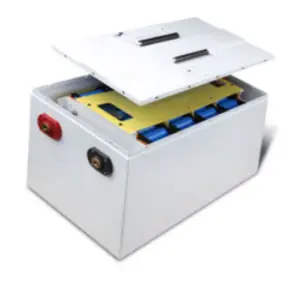 Литий-ионный Аккумулятор Lifepo4 для электромобиля на заказ, 48 В, 100 Ач