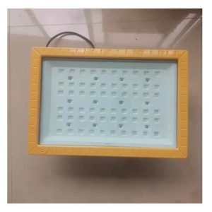 SZSW8250 200W 220V IP66 Lampe de travail LED anti-explosion T5 T6 Éclairage industriel extérieur - Product Image 2