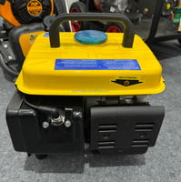 Generator bensin Mini 800W 950 Generator OEM berkemah luar ruangan menggunakan teknik kualitas tinggi harga murah CE