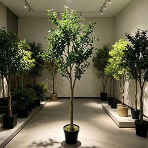 Large Indoor Floor-Standing Artificial Olive <b>Tree</b> New Model Detachable Ornament Graduation <b>Plastic</b> Weddings - Product Image 3