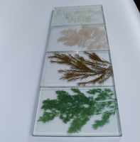 Panel de Vidrio Laminado con Resina Botánica Encapsulada, Vidrio Decorativo Artístico para División de Espacios en Edificios, Diseño de Hoteles