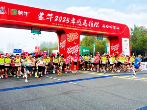 Alfombrilla de Temporización UHF Feibot de 2 Metros, Frecuencia Europea, Conector BNC - Product Image 5