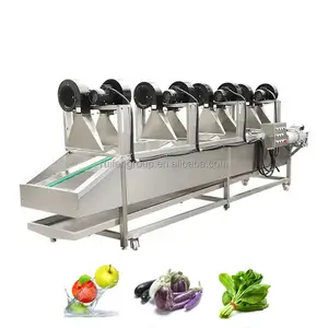 Industrial high pressure air drying moisture removing machine for fruit vegetables leafy spinach cabbage