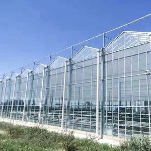 Frame Greenhouse Long Life Galvanized Steel Multi-span Agricultural Greenhouses Flower Vegetable Growing Stable Structure Glass