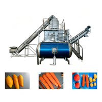 Industriële stoomschilmachine, automatische mango-, wortel- en aardappelschiller, groente- en fruitschilmachine