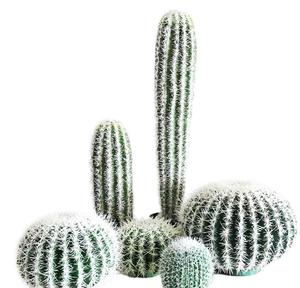 Panel <span class=keywords><strong>de</strong></span> Pared con Plantas Artificiales, Adornos <span class=keywords><strong>de</strong></span> Pared con Flores Artificiales Grandes, Puertas con Flores Artificiales, Plantas <span class=keywords><strong>de</strong></span> Cactus Artificiales - Product Image 6