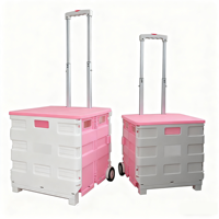 Petit supermarché chariots à roulettes pliable Pack Roll Crate Box en plastique Portable chariot et chariots avec roues