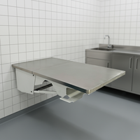 Platzsparender Wandmontierter Klappbarer Tierarzt-Untersuchungstisch aus 304 Edelstahl, Wiederverwendbar für Hunde- und Tierkliniken