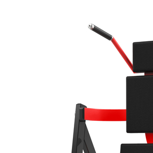 Realleader <span class=keywords><strong>Fibo</strong></span> Attrezzo Professionale per Crunch Addominali, Attrezzatura Fitness Commerciale per Interni, Equipaggiamento da Palestra - Product Image 2