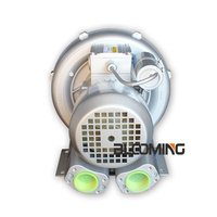 Pompe à air monophasée 1HP 2RB410-7AA01