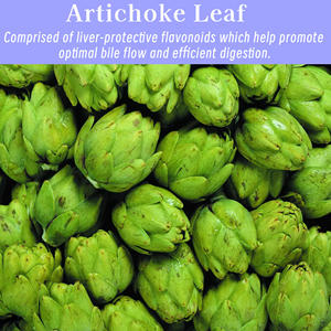 Capsules Détox Foie à Succès : Complément Alimentaire pour Détoxifier le Corps, Favoriser une Fonction Hépatique Saine et Stimuler la Digestion - Product Image 6