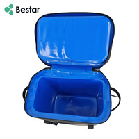 Sac à dos isotherme portable 32L en TPU anti-fuite avec logo personnalisé, écologique, pour le déjeuner, le vin et la bière, motif dessin animé pour les modernes