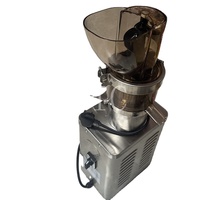Machine à jus électrique rapide pour gingembre, pomme, poire, raisin – Presse-jus à froid