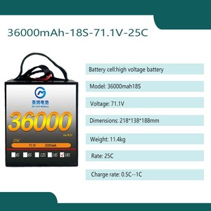 แบตเตอรี่ยานพาหนะทางอากาศแบบไร้คนขับ36000มิลลิแอมป์ชั่วโมง71.1โวลต์25C 18วินาทีแบตเตอรี่หนาแน่นสำหรับโดรนใช้งานหนักแบตเตอรี่โซลิดสเตต18วินาที36AH - Product Image 3