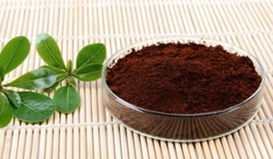 Экстракт Рейши, порошок, грибные капсулы Рейши, экстракт грибов, ганодермические полисахариды 40% - Product Image 5