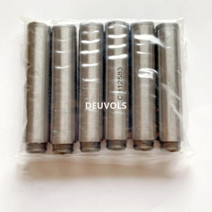 Guía de Válvula 2206 CH12583 - Product Image 1