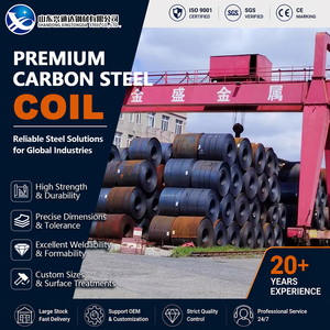 Leveling S355JR A36 Cold Rolled 20mm 1219mm Leveling ASTM A1011 Carbon Steel Strip for Steel Structure - Product Image 1