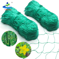 Zware Groene Tuin Trellis Netting Voor Klimplanten Buitenplant Gaas Plastic Voor Komkommers Tomaten Fruit