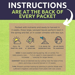 Packs de cerdas vegetales verdes saludables orgánicos 12 macetas individuales Nueva temporada Rúcula sin OGM para mostaza de acelga suiza para interior - Product Image 5