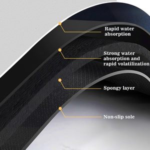 Nouveau design Tapis de bain en terre de diatomée à séchage rapide, imprimé, écologique et antidérapant pour salle de bain - Product Image 4