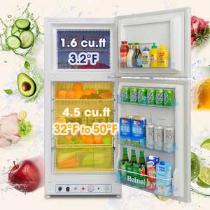 Refrigerador de Gas de 110V/220V con Congelador Superior de 2 Puertas - Product Image 4