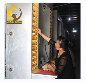 Jinmuren a type layer chicken fully automatic poultry <strong>farms</strong> 10000 15-20 years layer chickens farm <strong>bird</strong> cage - Product Image 1