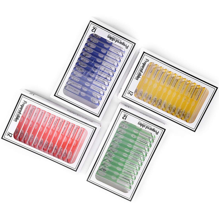Histology 12pcs Plastic Biology Slides Set Colorful For Children Science Education