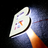 Lettres rétroéclairées personnalisées en acier inoxydable, logo 3D rétroéclairé, enseigne en métal rétroéclairée pour mur de magasin, signalétique commerciale