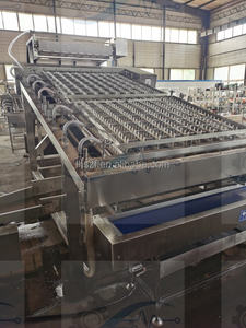 Machine de calibrage de homards, machine à décortiquer les crevettes et les écrevisses, éplucheur de crevettes en acier inoxydable, machine à éplucher les crevettes et les homards - Product Image 2