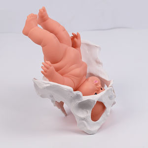 PVC allattare bacino manichino insegnamento medico modello bambino con il bacino femminile flessibile modello di <span class=keywords><strong>scheletro</strong></span> dell'anca formazione - Product Image 5