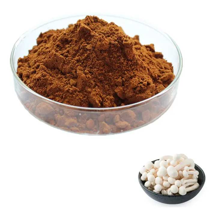 Natural Water Soluble White Beech Mushroom Extract