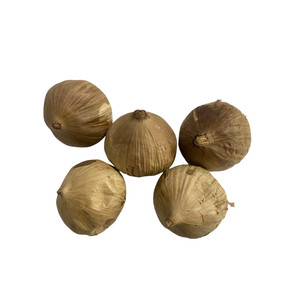 <span class=keywords><strong>Ail</strong></span> <span class=keywords><strong>noir</strong></span> séché Solo <span class=keywords><strong>de</strong></span> nouvelle saison à bon prix, fermenté naturellement, doux, aux <span class=keywords><strong>bienfaits</strong></span> santé, disponible en 250g et 500g - Product Image 3