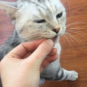 Golosinas para Gatos al por Mayor, Premium, Eliminan el Mal <span class=keywords><strong>Aliento</strong></span>, Bocaditos Crujientes Naturales para Mascotas, Galletas para Gatos, Golosinas para Gatitos, Galletas Crujientes <span class=keywords><strong>de</strong></span> Salmón - Product Image 3