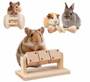 Tavşanlar, Gine Domuzları ve Hamsterler için Komik Kauçuk ve Masif Ahşap Diş Kaşıma Oyuncağı - Modern Tarzda Karton Paketli - Product Image 1