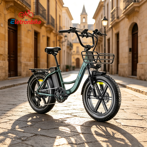 new electric bicycles 20 inch ebike fat tire cycle pedal assist e bike 250 watt ebike mens ebike eu stocks 48v 13ah 55nm motor 5 - Product Image 1