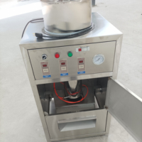 Automatische Knoflook Ui Fruit Schilmachine 1000kg/u Capaciteit Hoge Efficiëntie 304 RVS 220V 1 Jaar Garantie